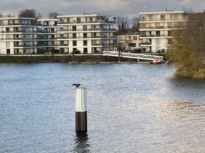 3 Zimmer Wohnung mit 100 m² in Mannheim – Bild 1