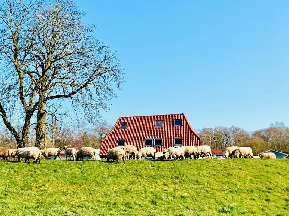 WG-Zimmer mit 88 m² in Rotenburg (Wümme) – Bild 4