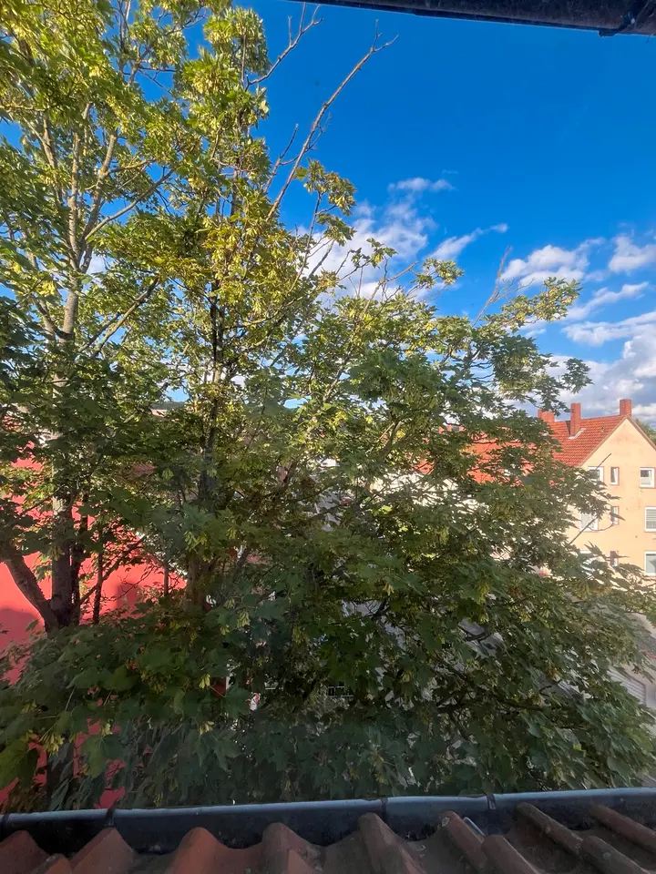 WG-Zimmer mit 16 m² in Hildesheim – Bild 6