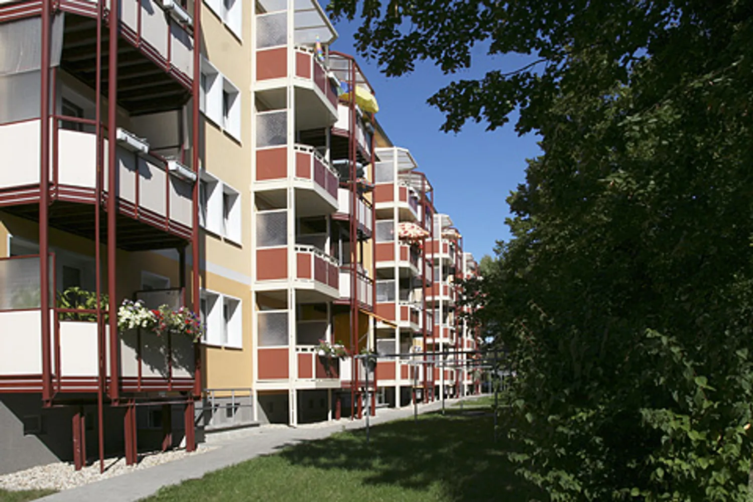 3 Zimmer Wohnung mit 60 m² in Dessau-Roßlau – Bild 2