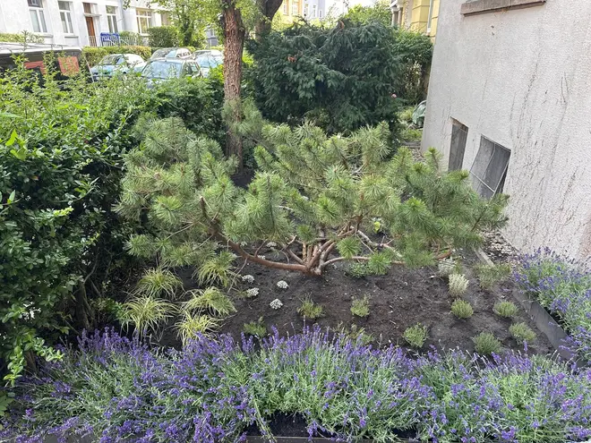 2 Zimmer Wohnung mit 75 m² in Hannover – Bild 7