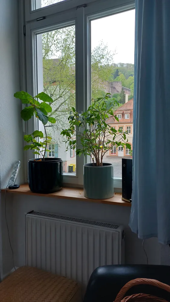 3 Zimmer Wohnung mit 63 m² in Heidelberg – Bild 10