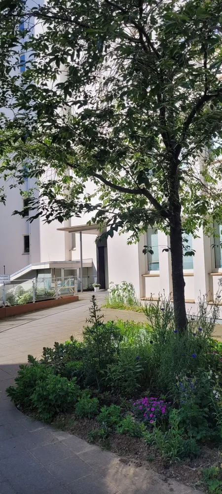 2 Zimmer Wohnung mit 45 m² in Kassel – Bild 2