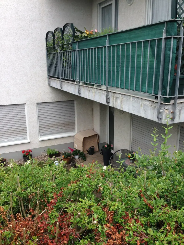 3 Zimmer Wohnung mit 67 m² in Weimar – Bild 2