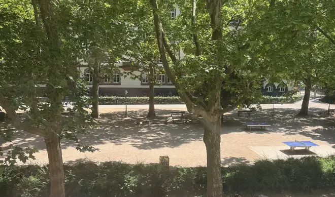 WG-Zimmer in Mainz – Bild 4