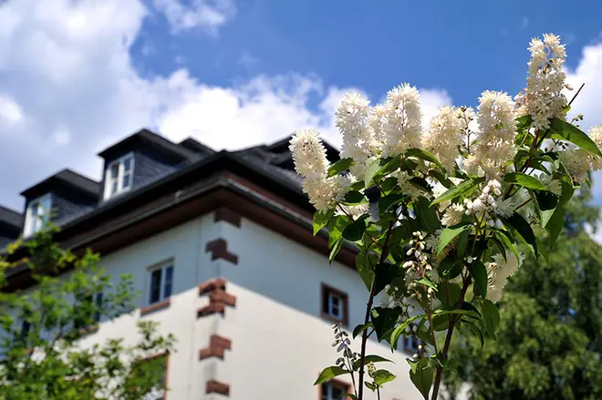 1 Zimmer Wohnung mit 16 m² in Marburg – Bild 4