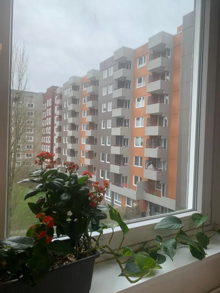 WG-Zimmer mit 12 m² in Winsen (Luhe) – Bild 4