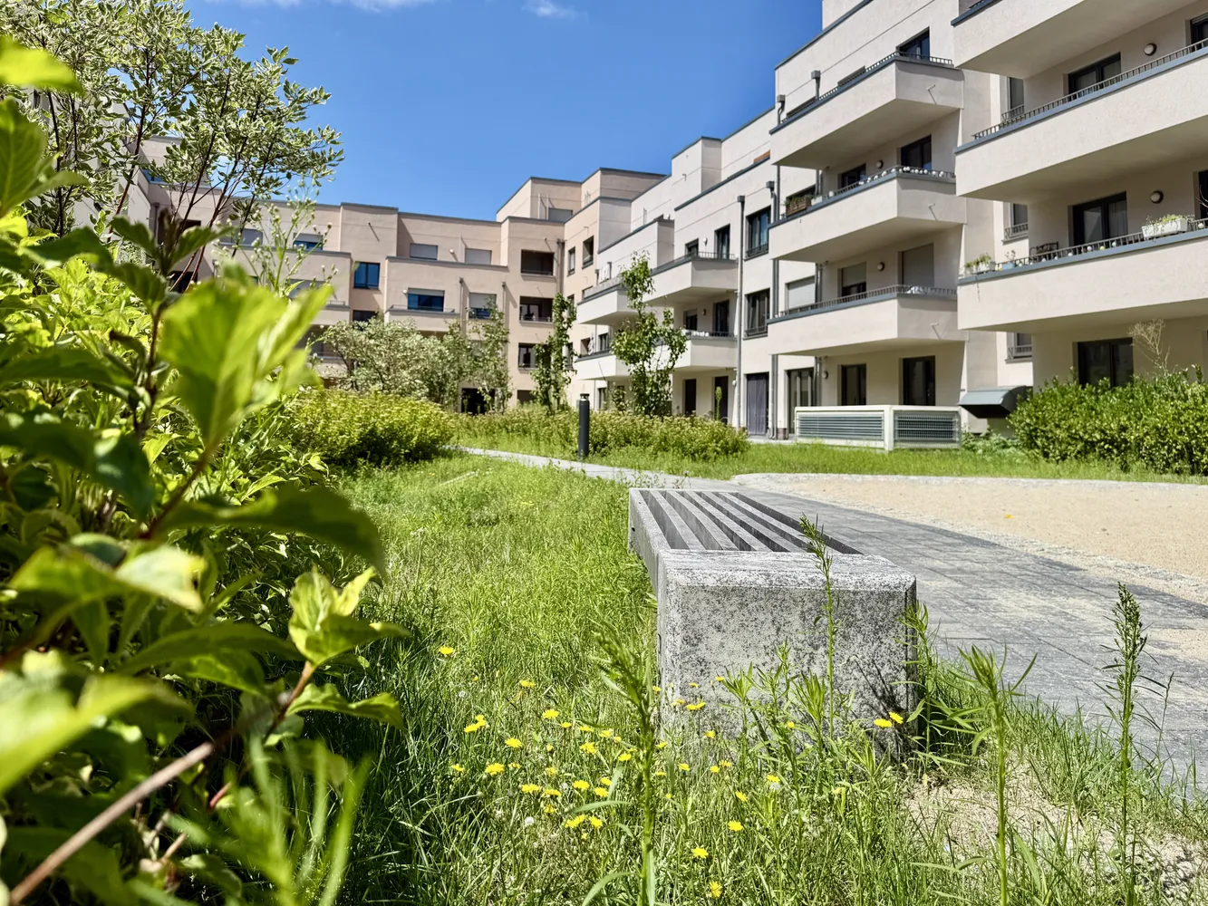 2 Zimmer Wohnung mit 38 m² in Berlin – Bild 1