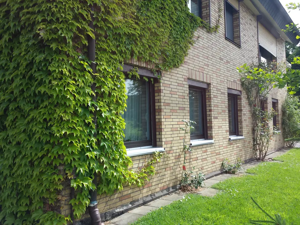 Studio mit 25 m² in Göttingen – Bild 8