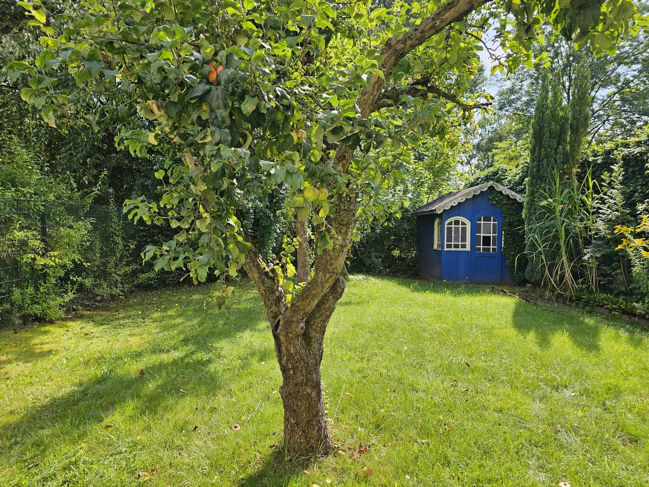 2 Zimmer Wohnung mit 47 m² in Görlitz – Bild 6