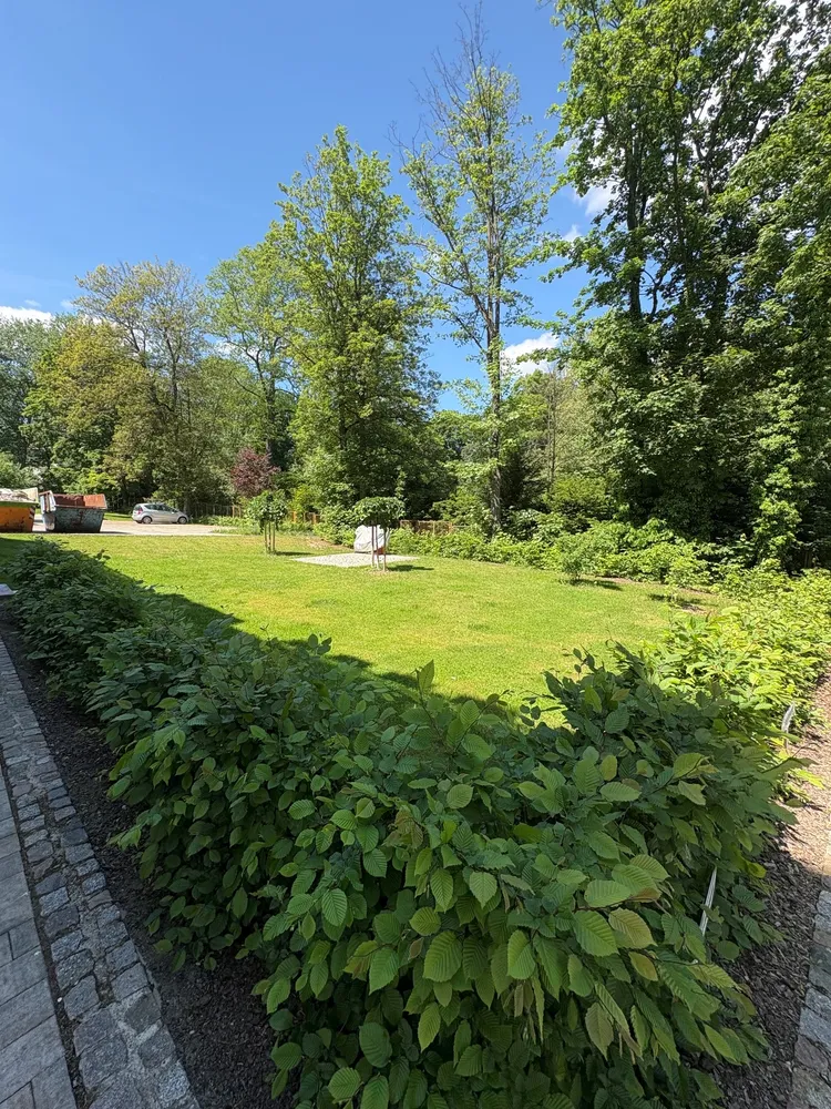 4 Zimmer Wohnung mit 115 m² in Freiberg – Bild 4