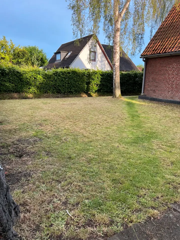WG-Zimmer mit 32 m² in Winsen (Luhe) – Bild 5