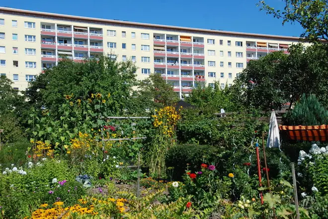 2 Zimmer Wohnung mit 46 m² in Chemnitz – Bild 2