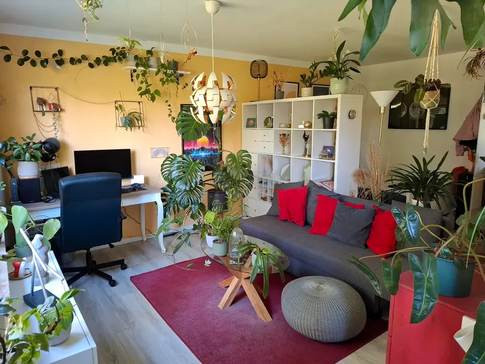 Studio mit 45 m² in Hildesheim – Bild 9