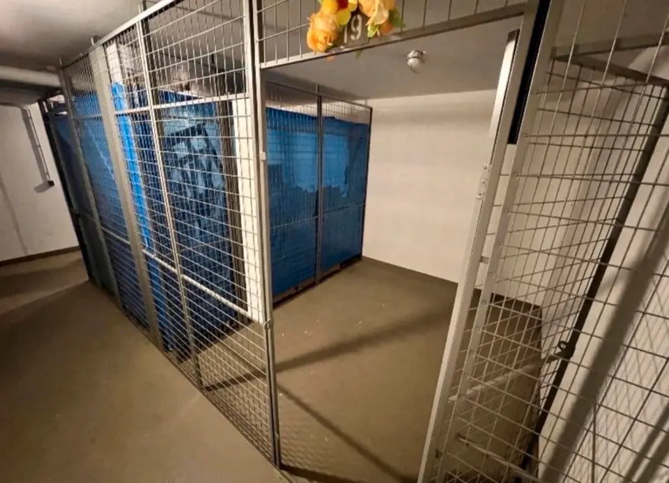 2 Zimmer Wohnung mit 61 m² in Gera – Bild 6