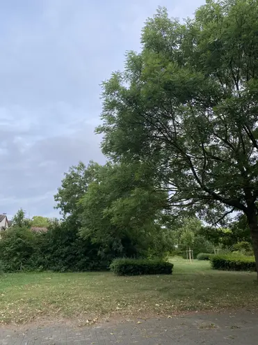 3 Zimmer Wohnung mit 72 m² in Hannover – Bild 7