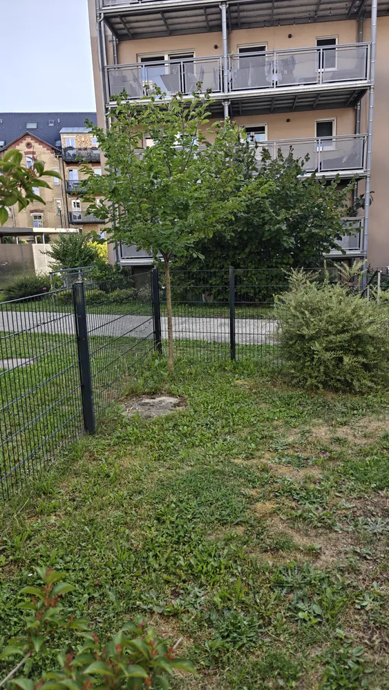 3 Zimmer Wohnung mit 101 m² in Augsburg – Bild 11
