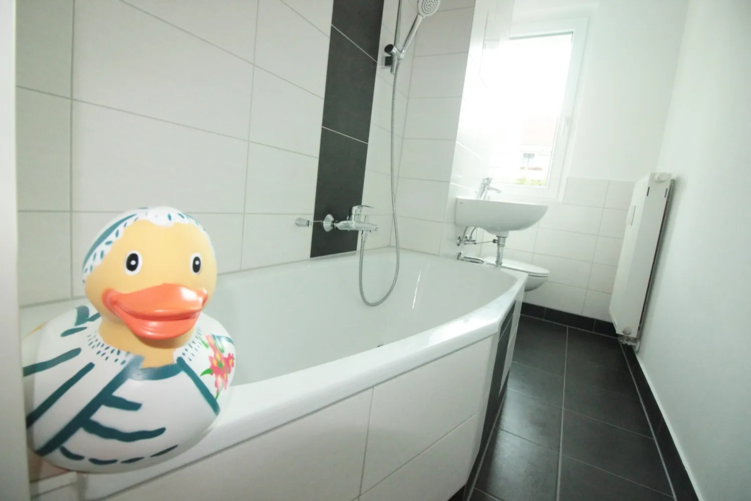 2 Zimmer Wohnung mit 50 m² in Chemnitz – Bild 1