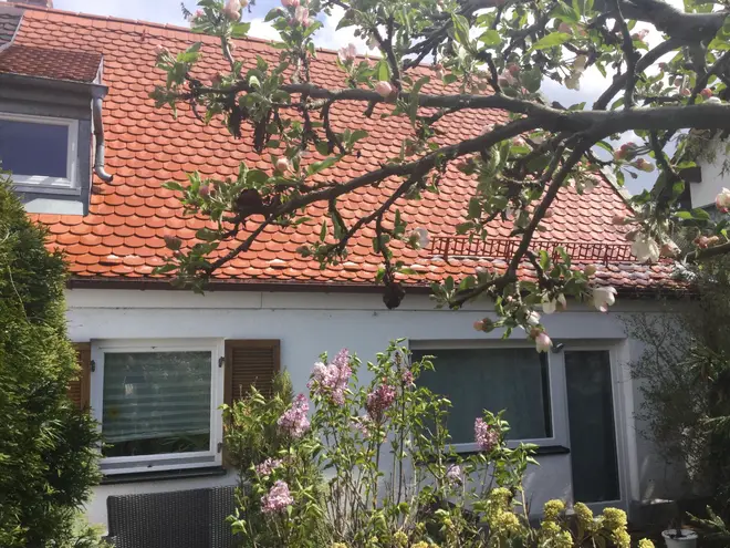 4 Zimmer Haus mit 70 m² in München – Bild 2