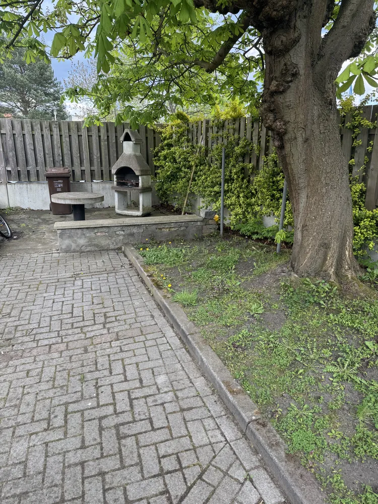 2 Zimmer Wohnung mit 52 m² in Stralsund – Bild 2
