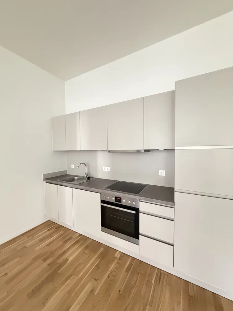 2 Zimmer Wohnung mit 78 m² in Dresden – Bild 2
