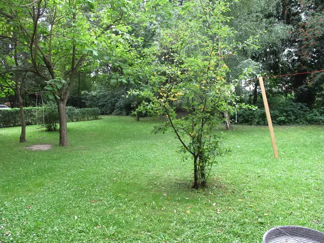 2 Zimmer Wohnung mit 76 m² in Leipzig – Bild 3