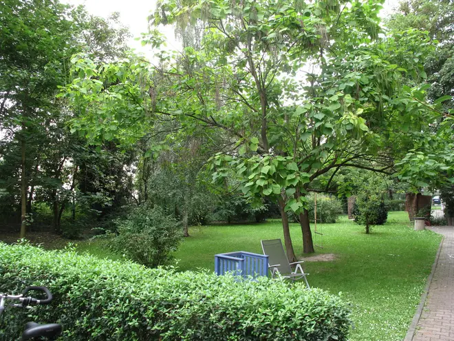 2 Zimmer Wohnung mit 76 m² in Leipzig – Bild 4