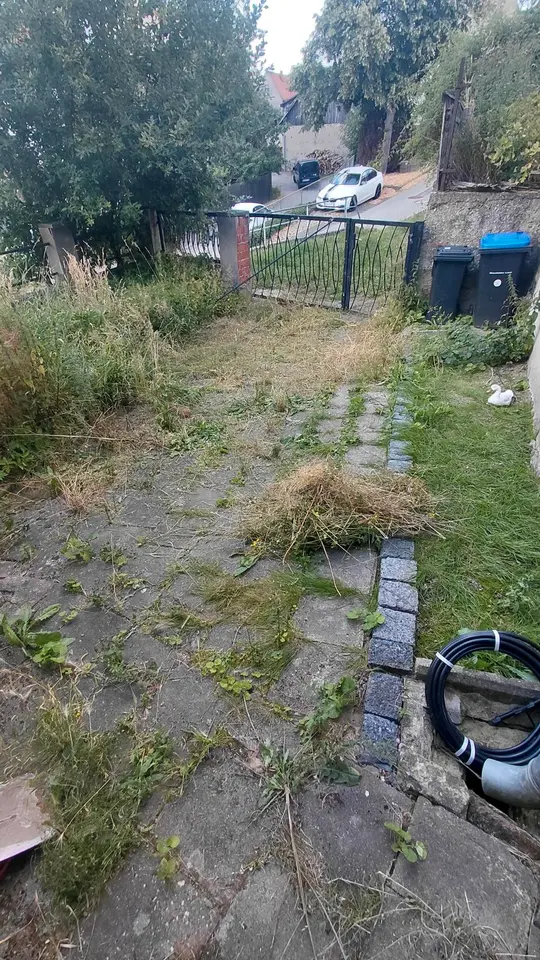 6 Zimmer Haus mit 178 m² in Lutherstadt Wittenberg – Bild 5