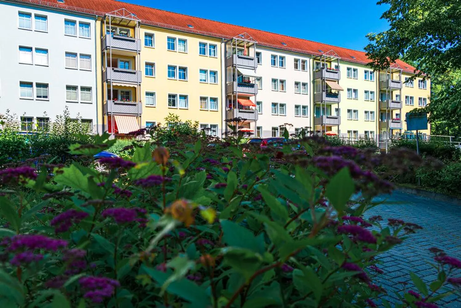 1 Zimmer Wohnung mit 31 m² in Zwickau – Bild 3