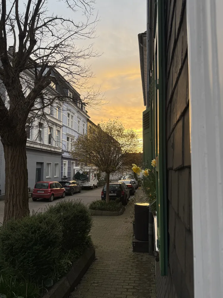 2 Zimmer Wohnung mit 35 m² in Wuppertal – Bild 2