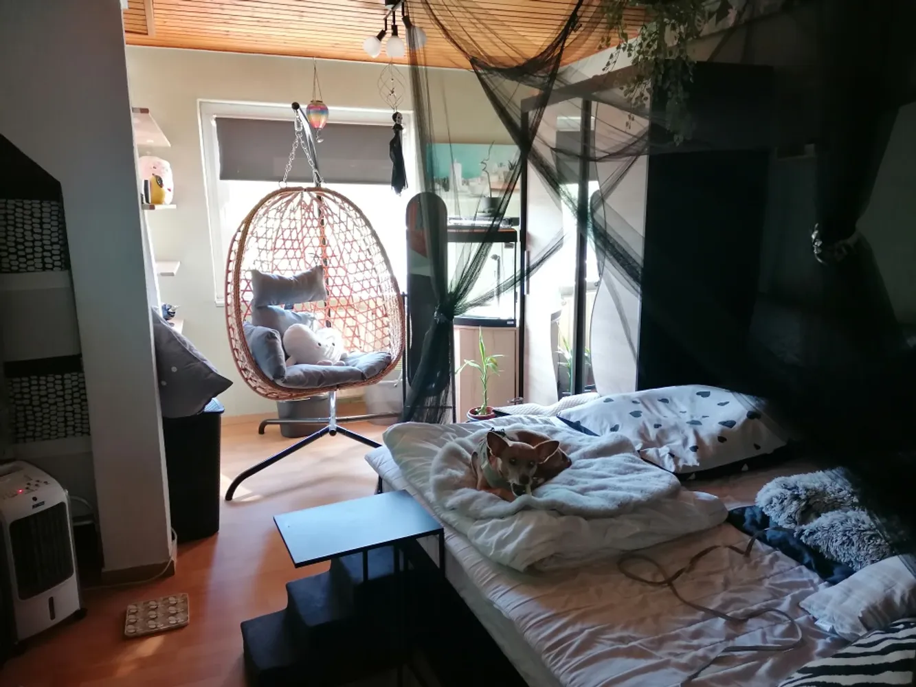 2 Zimmer Wohnung mit 59 m² in Herne – Bild 5
