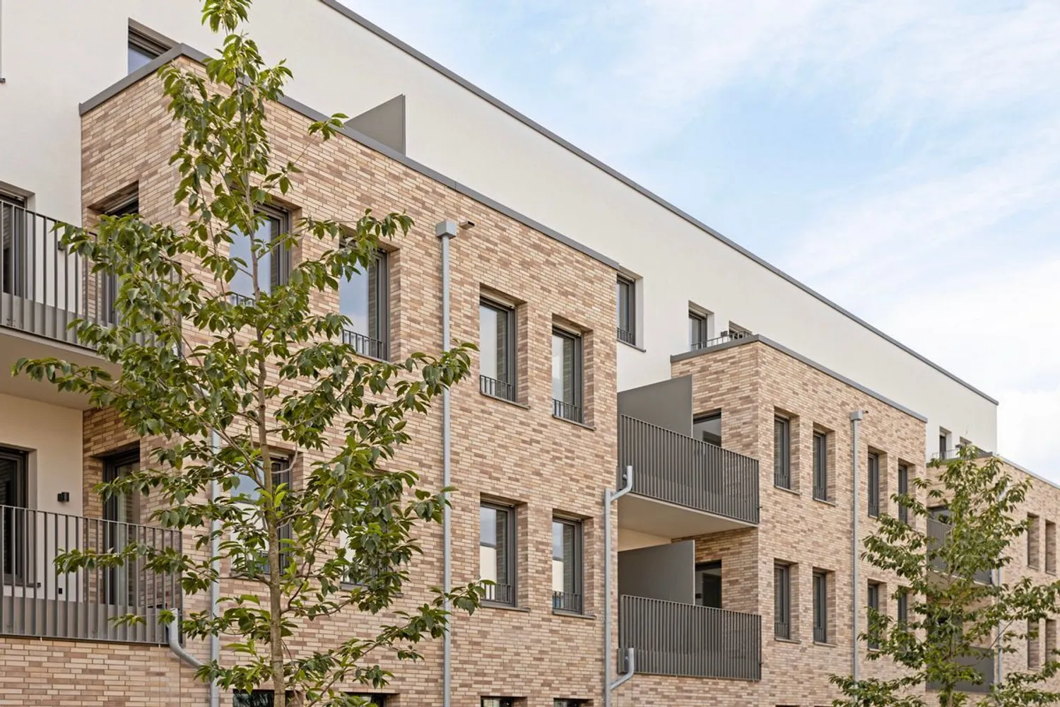 3 Zimmer Wohnung mit 95 m² in Dortmund – Bild 3