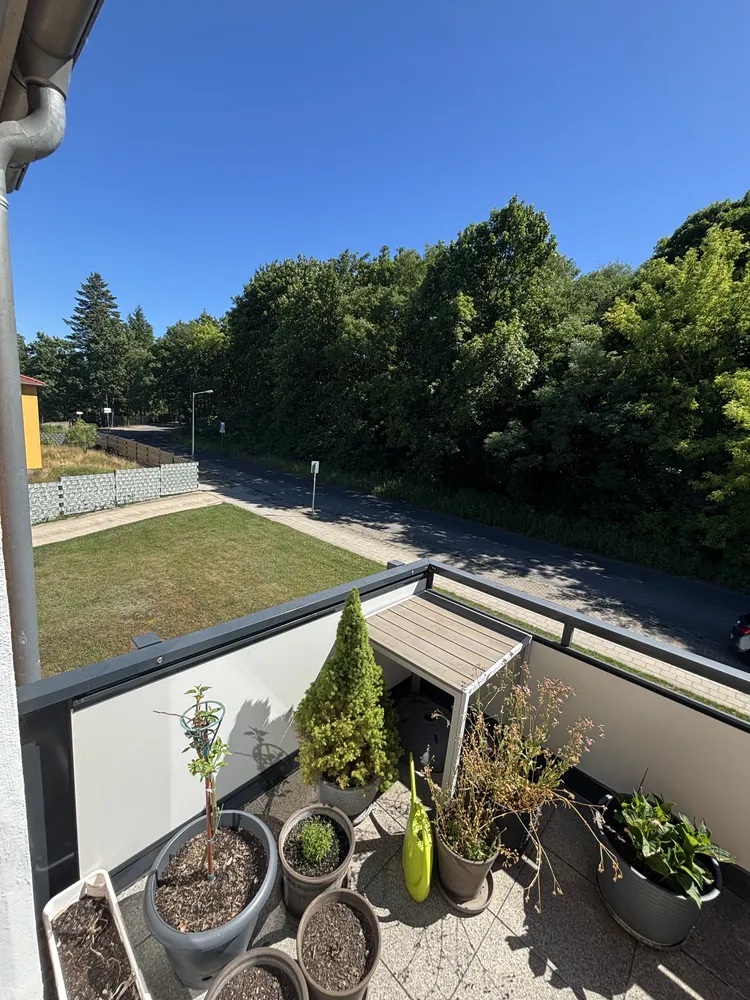 3 Zimmer Wohnung mit 56 m² in Frankfurt (Oder) – Bild 12