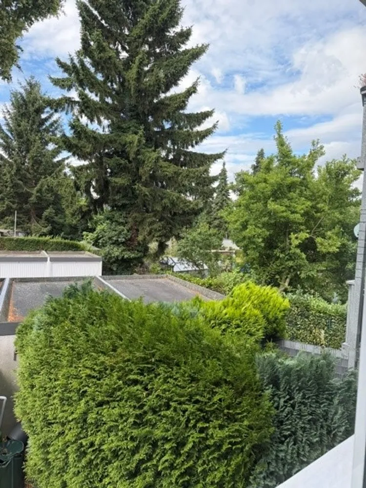 3 Zimmer Wohnung mit 50 m² in Gelsenkirchen – Bild 12