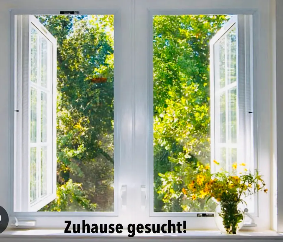 3 Zimmer Wohnung mit 8 m² in Lörrach – Bild 3