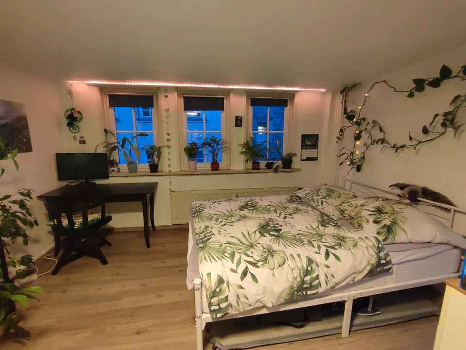 Studio mit 30 m² in Marburg – Bild 1