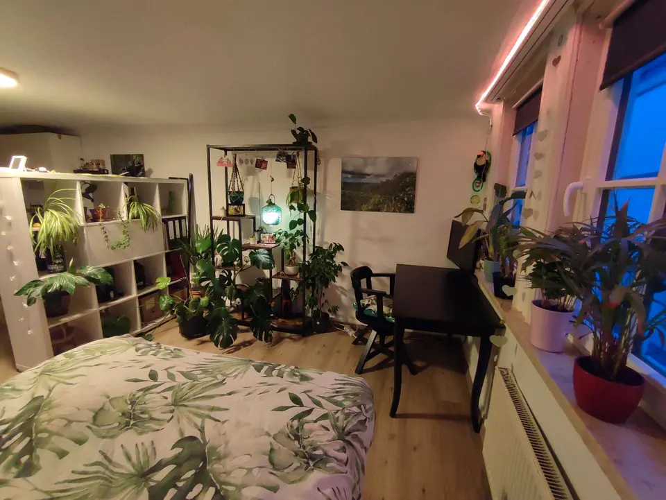 Studio mit 30 m² in Marburg – Bild 3