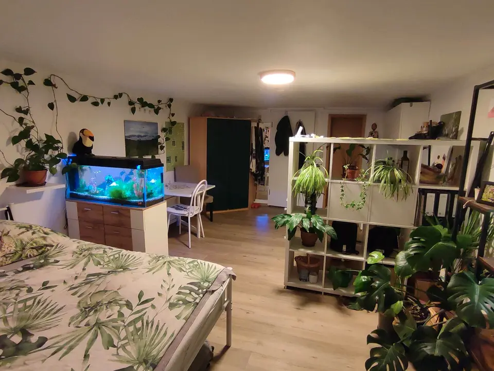 Studio mit 30 m² in Marburg – Bild 4