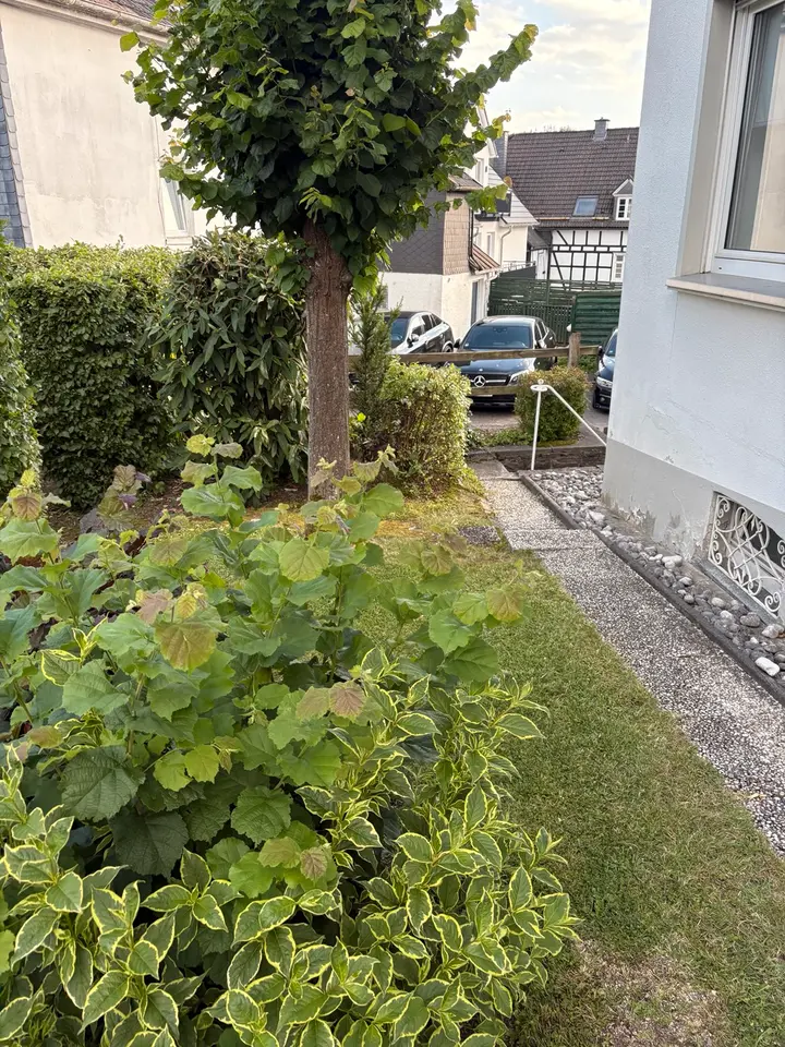 9 Zimmer Haus mit 195 m² in Siegen – Bild 2