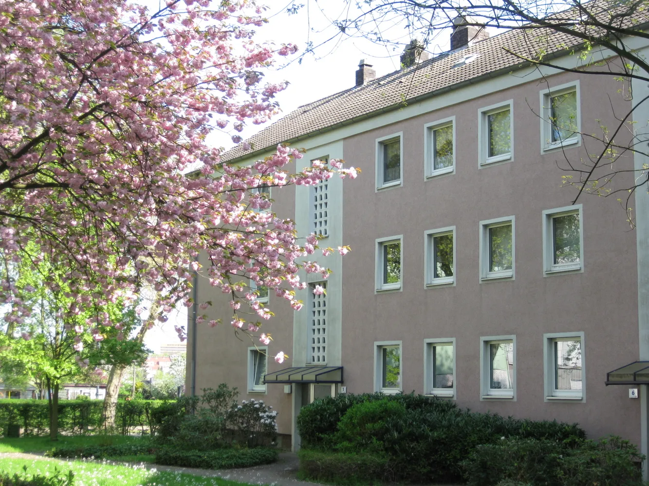 2 Zimmer Wohnung mit 41 m² in Gelsenkirchen – Bild 8