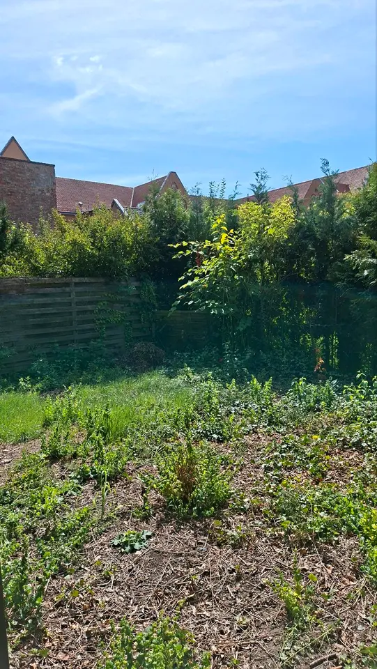 3 Zimmer Wohnung mit 53 m² in Wolfenbüttel – Bild 9