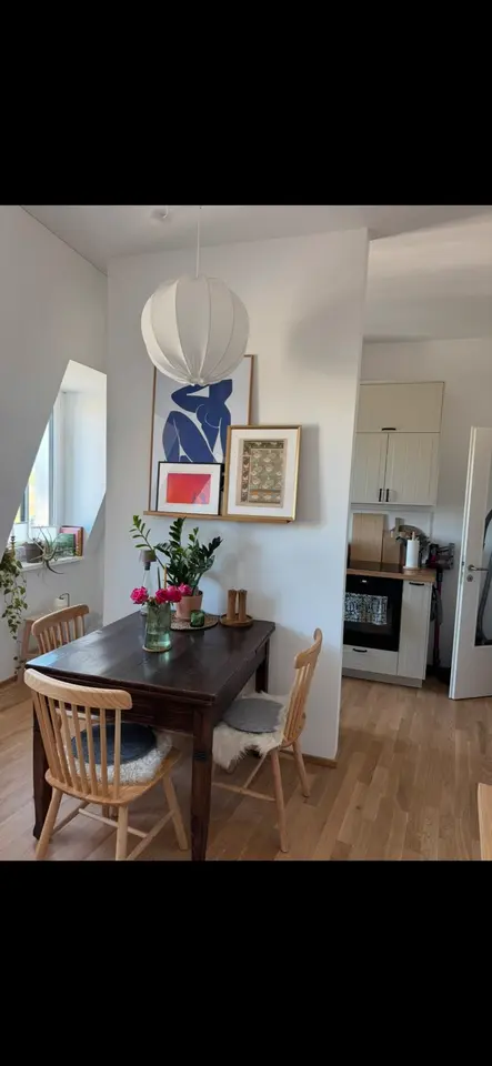 2 Zimmer Wohnung mit 52 m² in Dresden – Bild 7