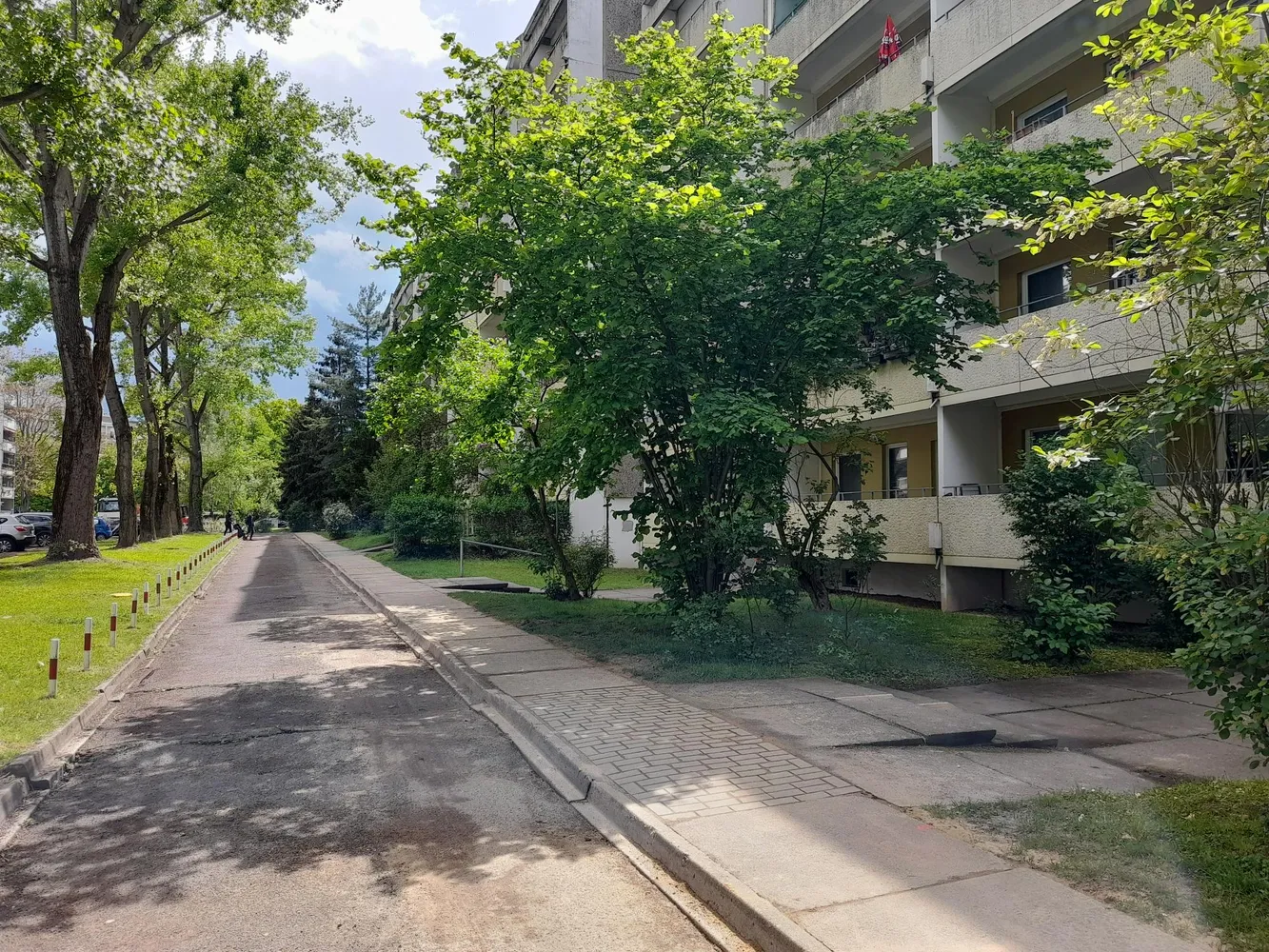 3 Zimmer Wohnung mit 64 m² in Dresden – Bild 2