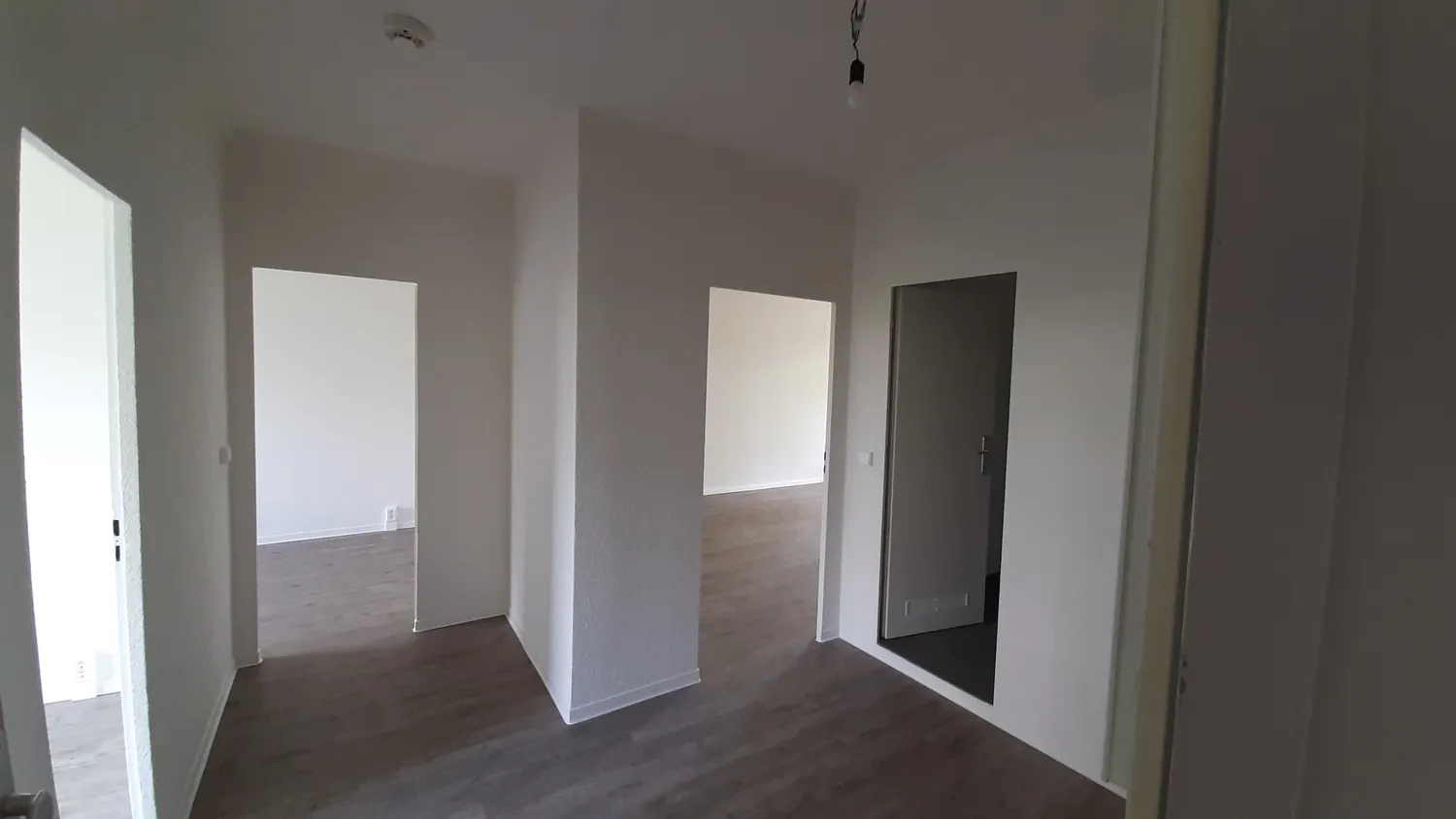 3 Zimmer Wohnung mit 64 m² in Dresden – Bild 6