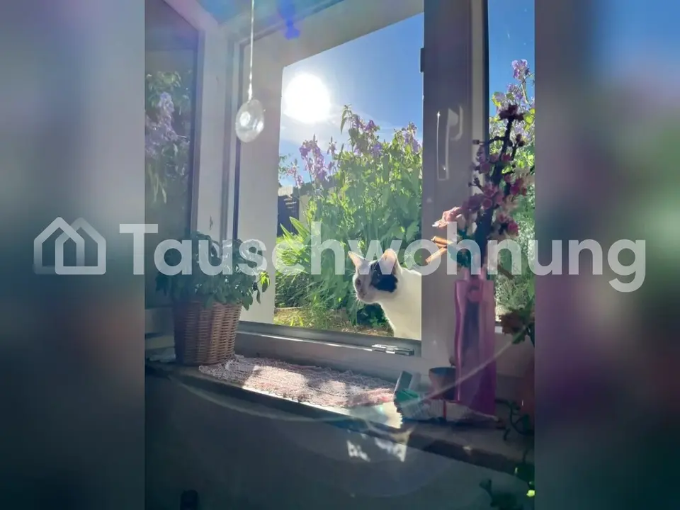 2 Zimmer Wohnung mit 30 m² in Freiburg im Breisgau – Bild 5