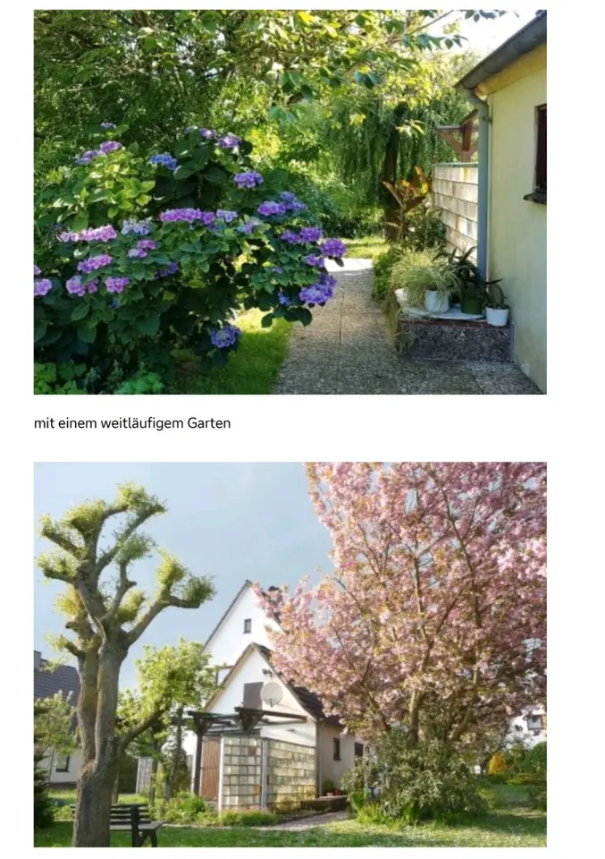 3 Zimmer Haus mit 70 m² in Winsen (Luhe) – Bild 6