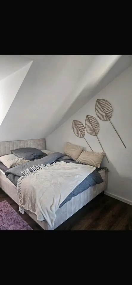 Studio mit 25 m² in Köln – Bild 1