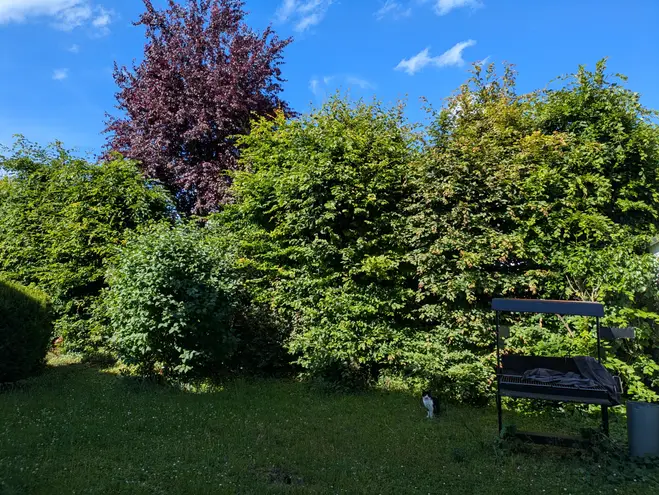 2 Zimmer Wohnung mit 57 m² in Mainz – Bild 1