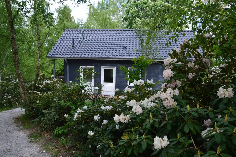 WG-Zimmer mit 20 m² in Wilhelmshaven – Bild 5