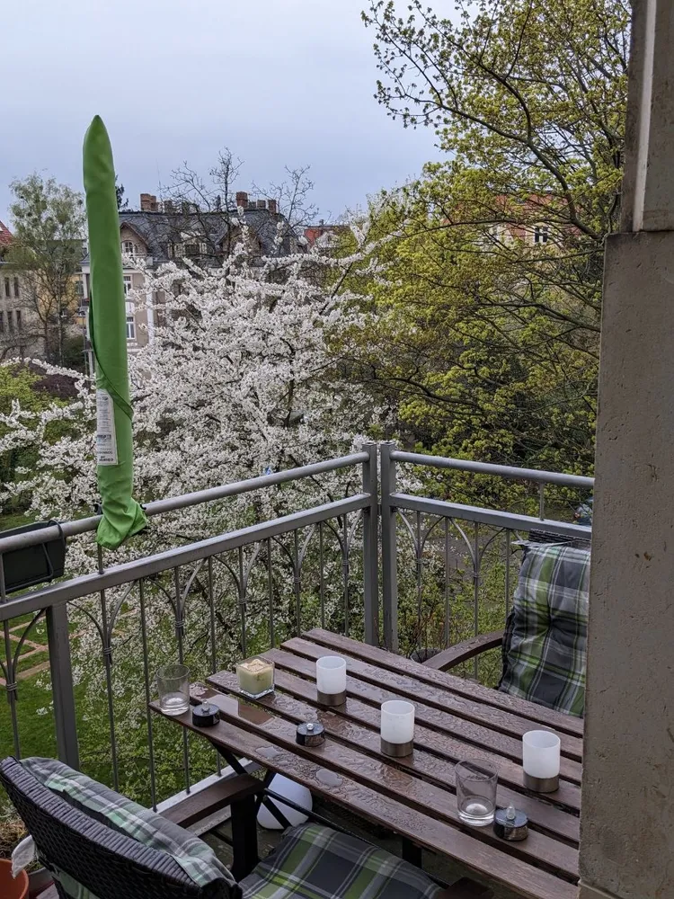 2 Zimmer Wohnung mit 74 m² in Dresden – Bild 1